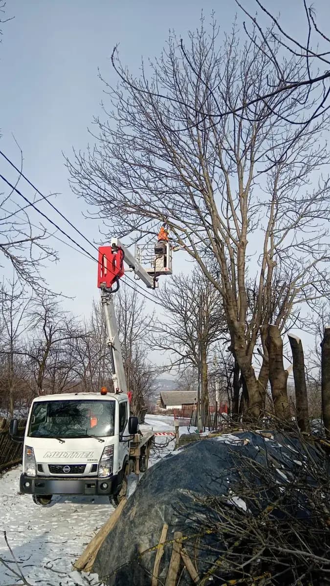 Camion cu nacelă oprit pe un drum înzăpezit, lângă crengile tăiate dintr-un copac de la marginea drumului