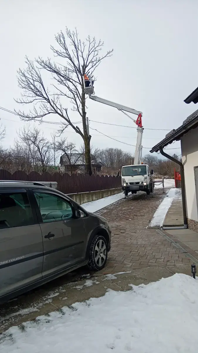 Nacelă pe camion, calată pe aleea pavată a unei curți, cu coșul ridicat la un copac desfrunzit