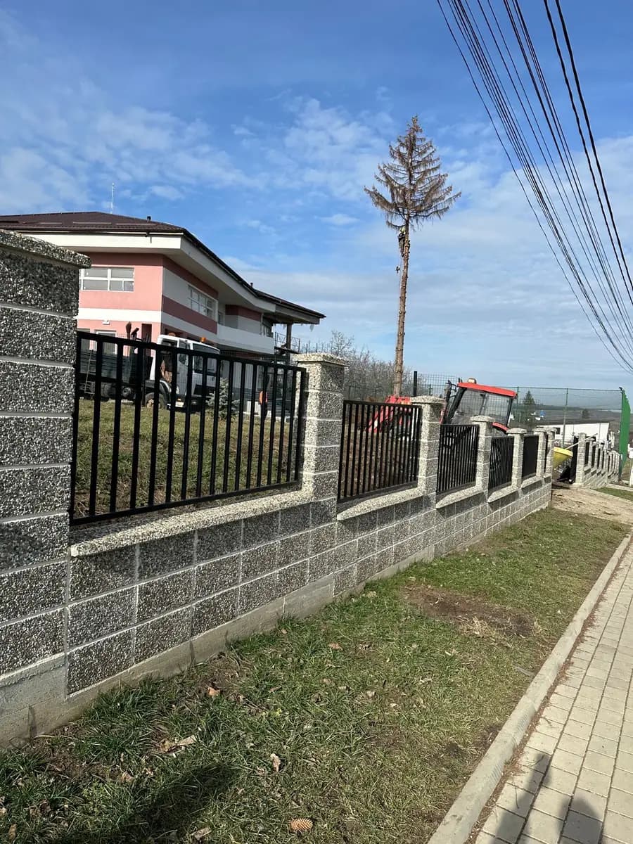 Molid doborât din curtea unei case cu gard de beton, cu trunchiul curățat de crengi până în vârf